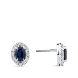 Hardy Brothers Jewellers | Oval Cut Sapphire and Alternating Diamond Stud Earrings in 18ct White Gold