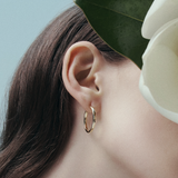 Quintessential 18ct Yellow Gold Hoop Earrings