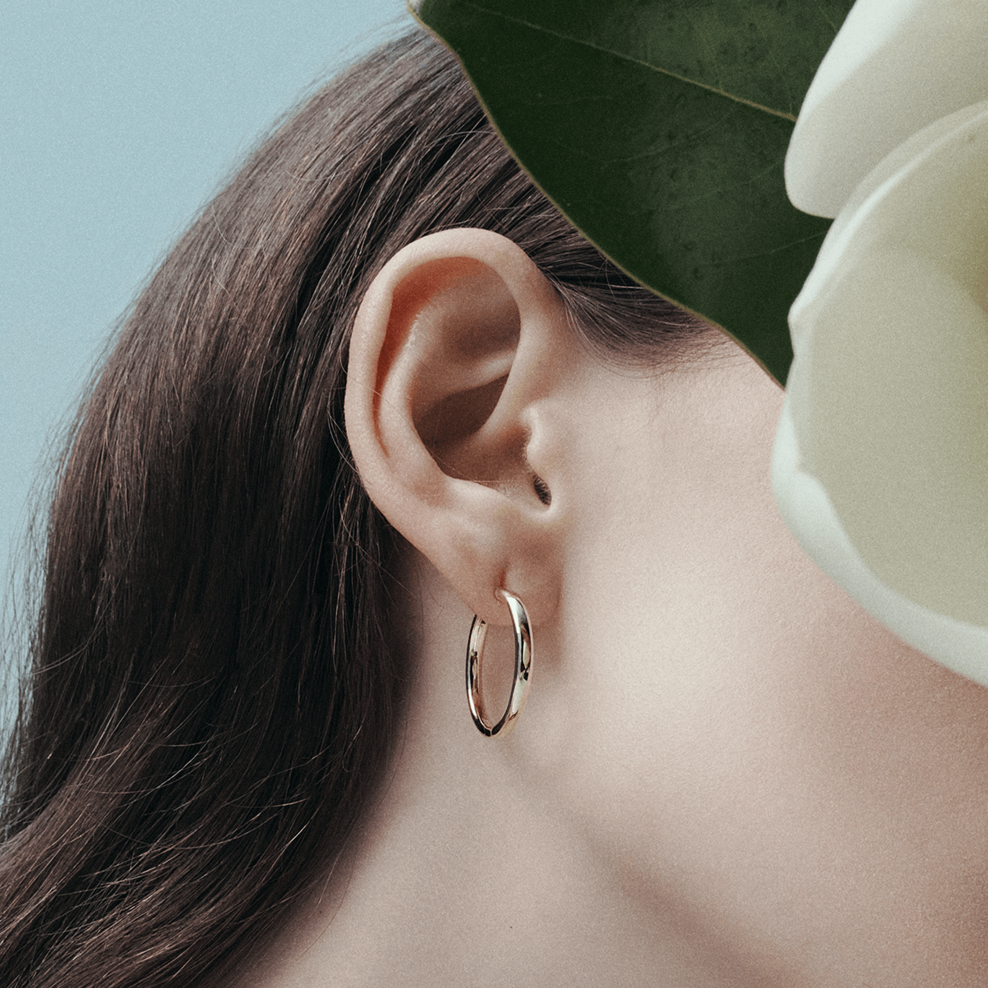 Quintessential Hoop Earrings in 18ct Yellow Gold