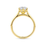 Round Brilliant Cut Diamond Engagement Ring in 18ct Yellow Gold