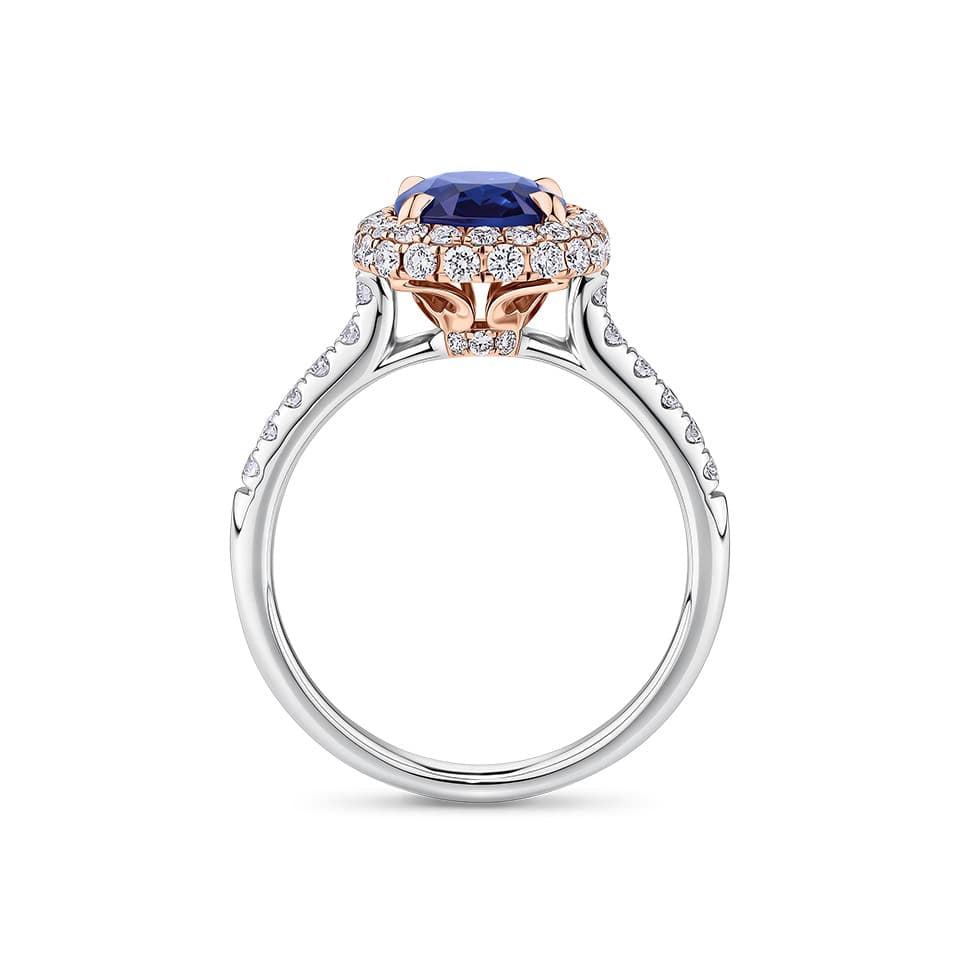 2.50 Carat Sapphire and 0.70 Carat TW Diamond Halo Ring in 18ct Rose and White Gold — Viewed from the front, the ring showcases its double halo design with the oval-cut sapphire set above a diamond-lined band. The two-tone rose and white gold setting creates a striking contrast.