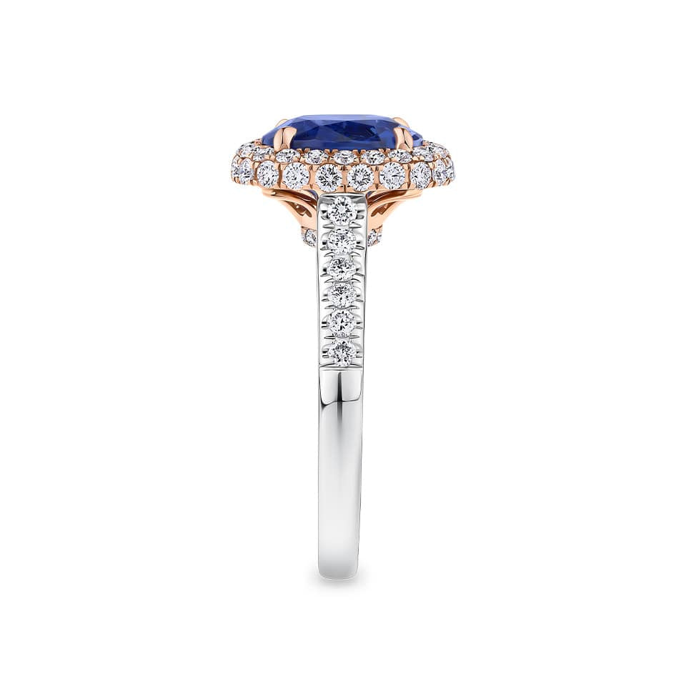 2.50 Carat Sapphire and 0.70 Carat TW Diamond Halo Ring in 18ct Rose and White Gold — This side profile highlights the ring's intricate rose gold basket detailing and the natural diamonds set along the tapered white gold shoulders. The two-tone setting maintains an elegant silhouette from every angle.