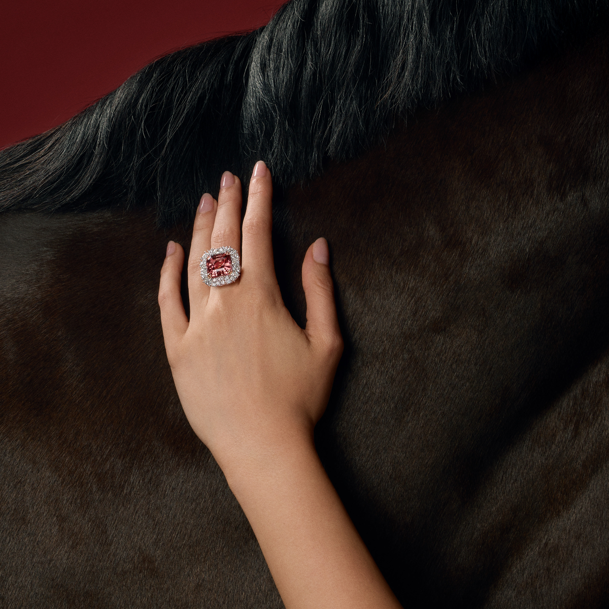 VAULT® 15.69 CARAT ASSCHER CUT TOURMALINE AND 4.26 CARAT DIAMOND HALO RING IN 18CT WHITE GOLD