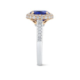 Side view of the VAULT® Sapphire and Diamond Halo Ring by Hardy Brothers, showing the pavé-set diamond band in 18ct white gold along each shoulder.