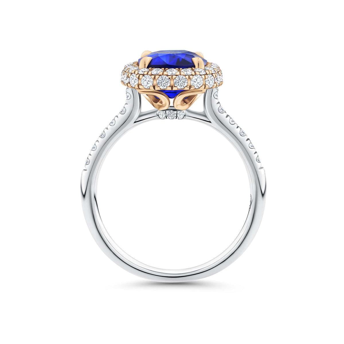 Close-up of the diamond halo setting on the VAULT® Sapphire and Diamond Halo Ring by Hardy Brothers, highlighting the rose gold grain setting around the cushion cut sapphire.