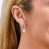 Akoya Pearl and Diamond Drop Huggie Earrings in 14ct Yellow Gold