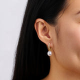Diamond and South Sea Pearl Earrings in 18ct Yellow Gold