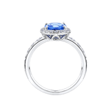 Tanzanite Cushion and Diamond Halo Ring in 18ct White Gold