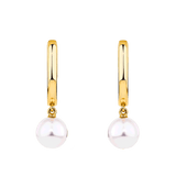 Akoya Pearl Drop Huggie Earrings in 14ct Yellow Gold