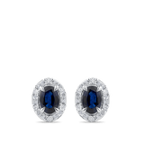Hardy Brothers Jewellers | Oval Cut Sapphire and Alternating Diamond Stud Earrings in 18ct White Gold