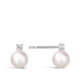 Diamond and Akoya Pearl Stud Earrings in 18ct White Gold Hardy Brothers Jewellers