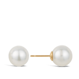 Australian South Sea Pearl Stud Earrings in 18ct Yellow Gold