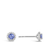 White Gold Tanzanite and Diamond Halo Stud Earrings