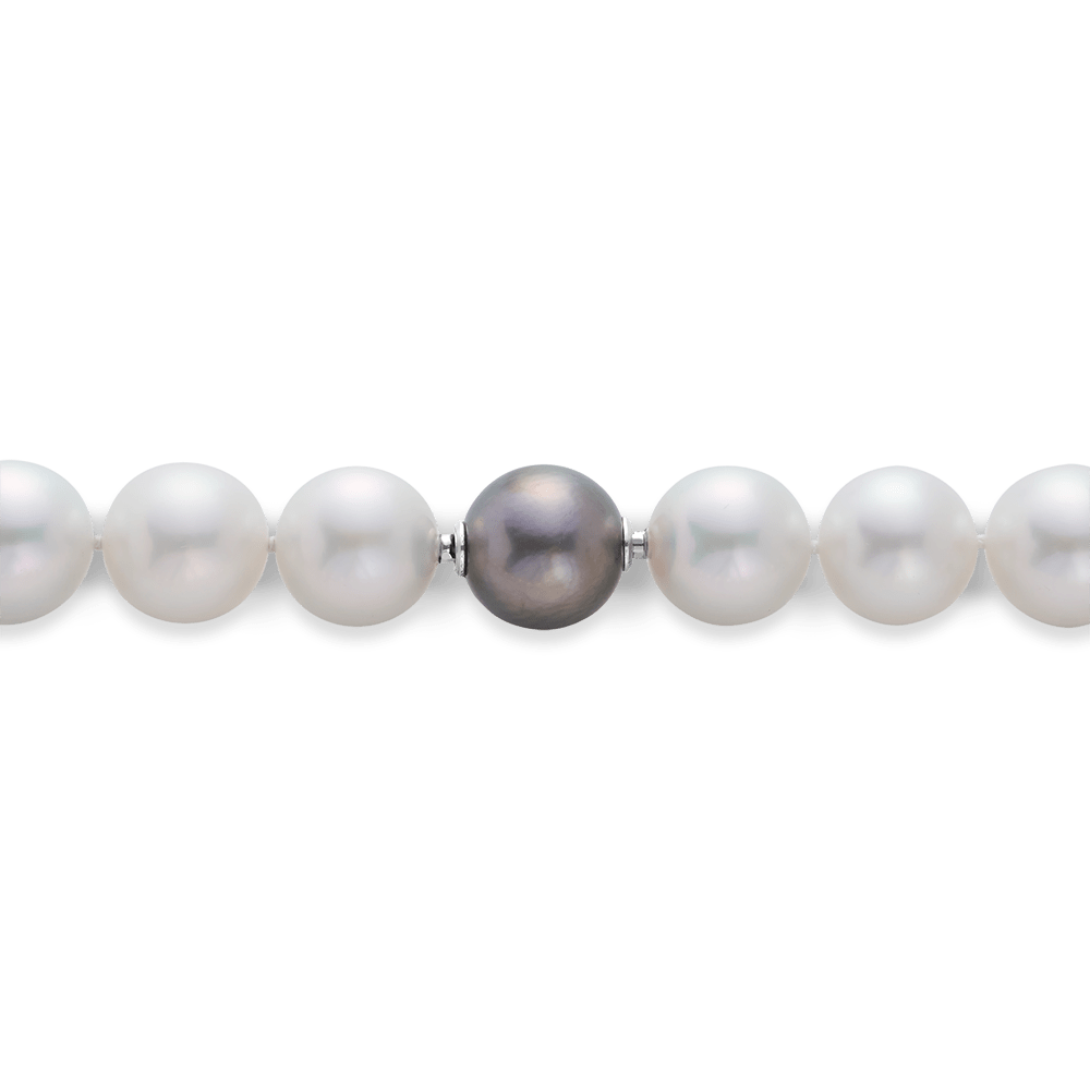 Vault® Australian South Sea Pearl Strand