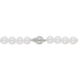 Akoya Pearl Necklace in 18ct White Gold