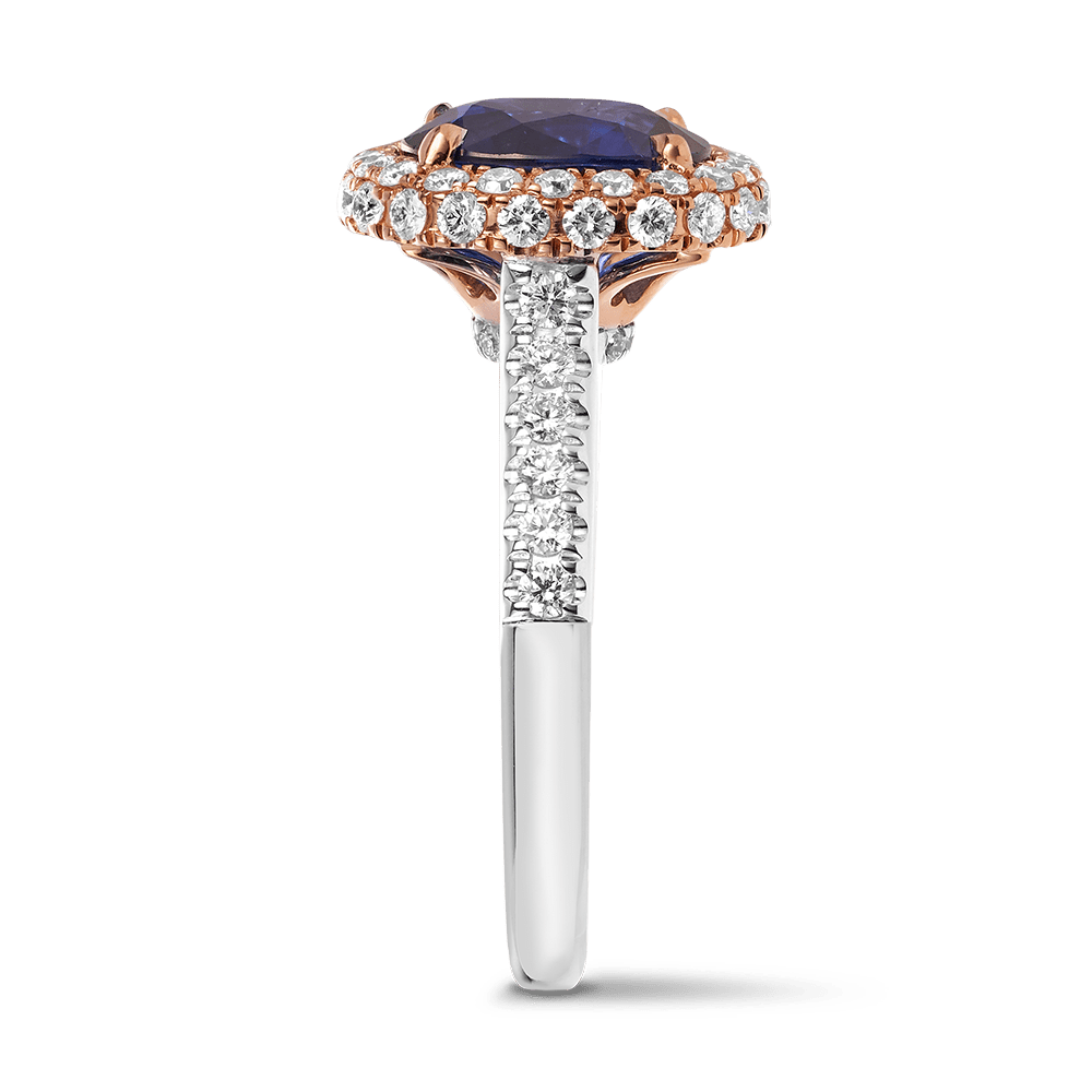 VAULT® 3.17 Carat Ceylon Sapphire and 0.78 Carat Diamond Ring in 18ct Rose and White Gold