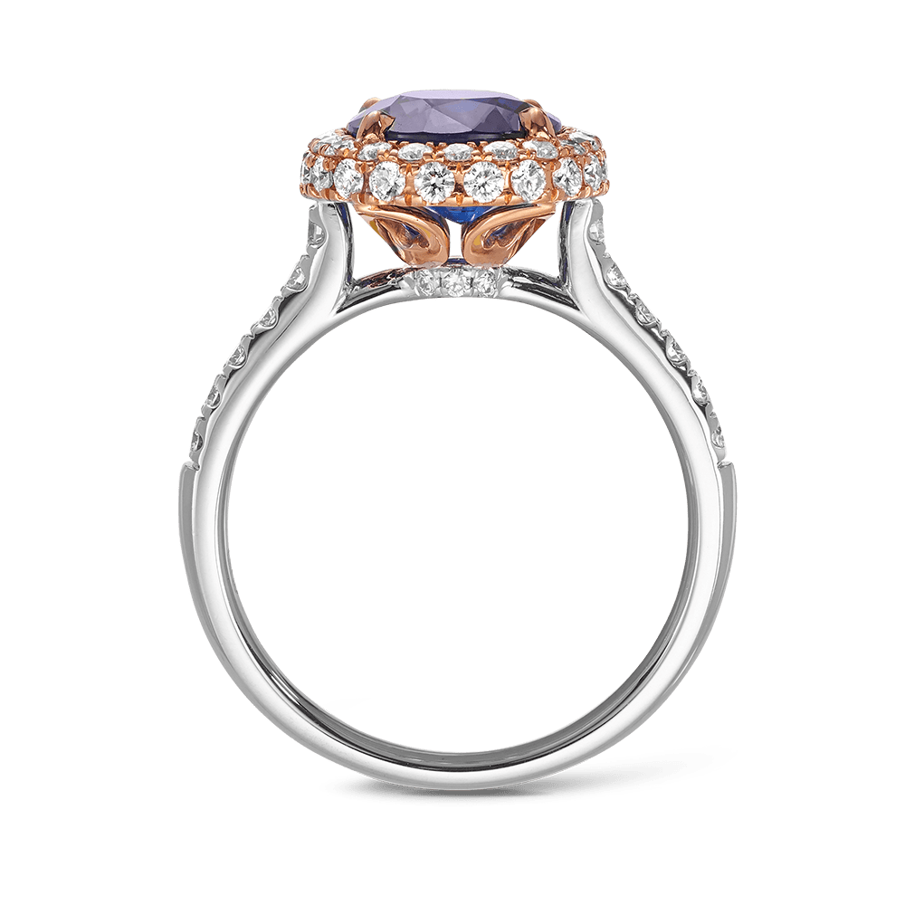 3.95 Carat Ceylon Sapphire and Diamond Ring in 18ct White Gold Hardy Brothers