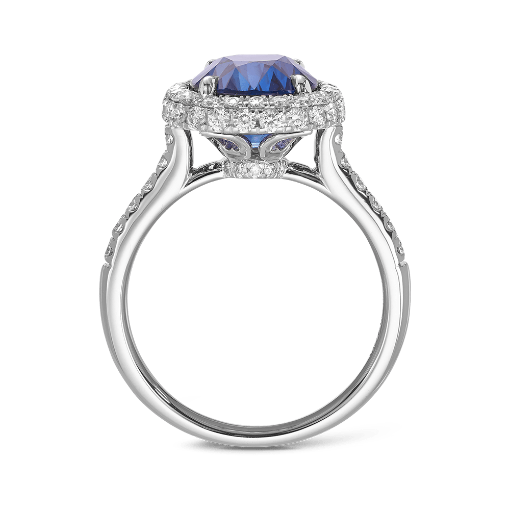 6.48 Carat Madagascan Sapphire and Diamond Ring in 18ct White Gold Hardy Brothers