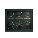 WOLF British Racing Green 6 Piece Watch Winder