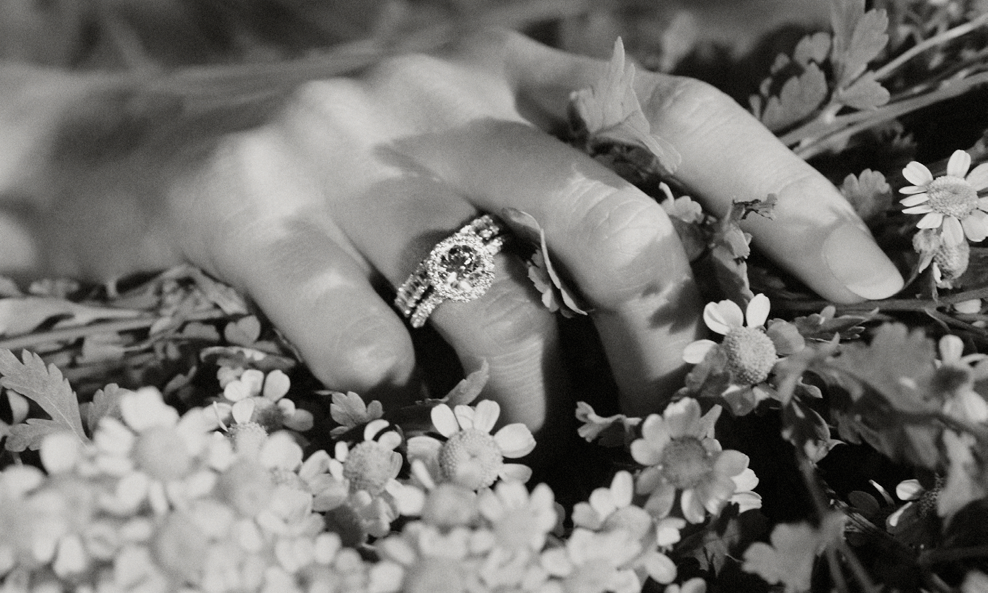 Halo Diamond Engagement Ring in 18ct White Gold