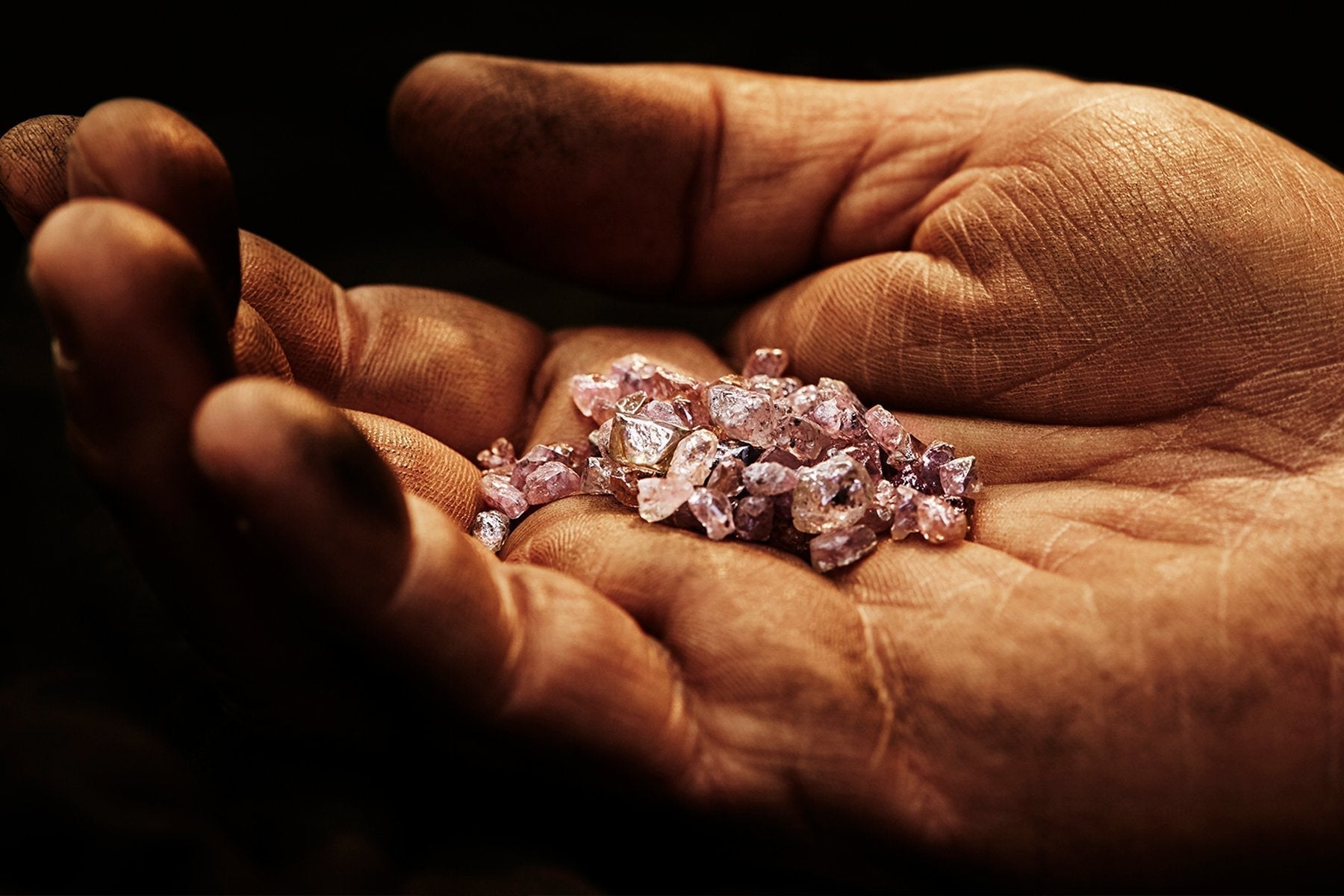 Argyle Pink Diamonds Collectors Edition