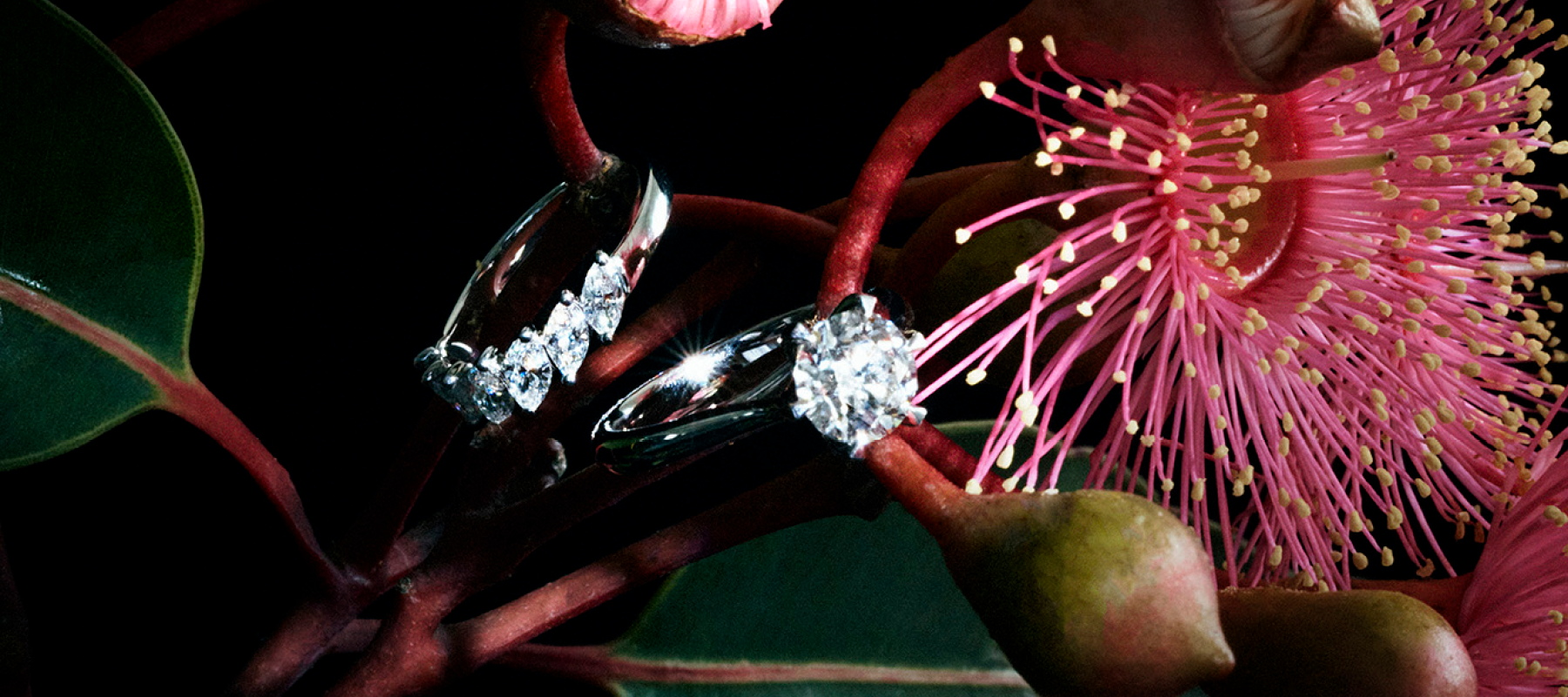 Hardy Brothers Jewellers Round Brilliant Cut Engagement Rings