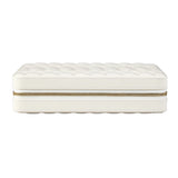 Lauren Large Zip Case Ivory 347552