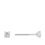 0.25 Carat Diamond Earrings in 18ct White Gold