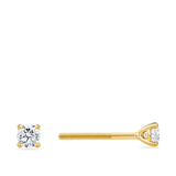 0.25 Carat Diamond Earrings in 18ct Yellow Gold