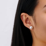 Australian South Sea Pearl Stud Earrings in 18ct Yellow Gold