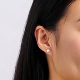 Akoya Pearl Stud Earrings in 18ct White Gold