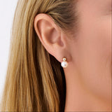 Diamond and Akoya Pearl Stud Earrings in 18ct Yellow Gold