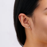 0.25 Carat Diamond Earrings in 18ct Yellow Gold