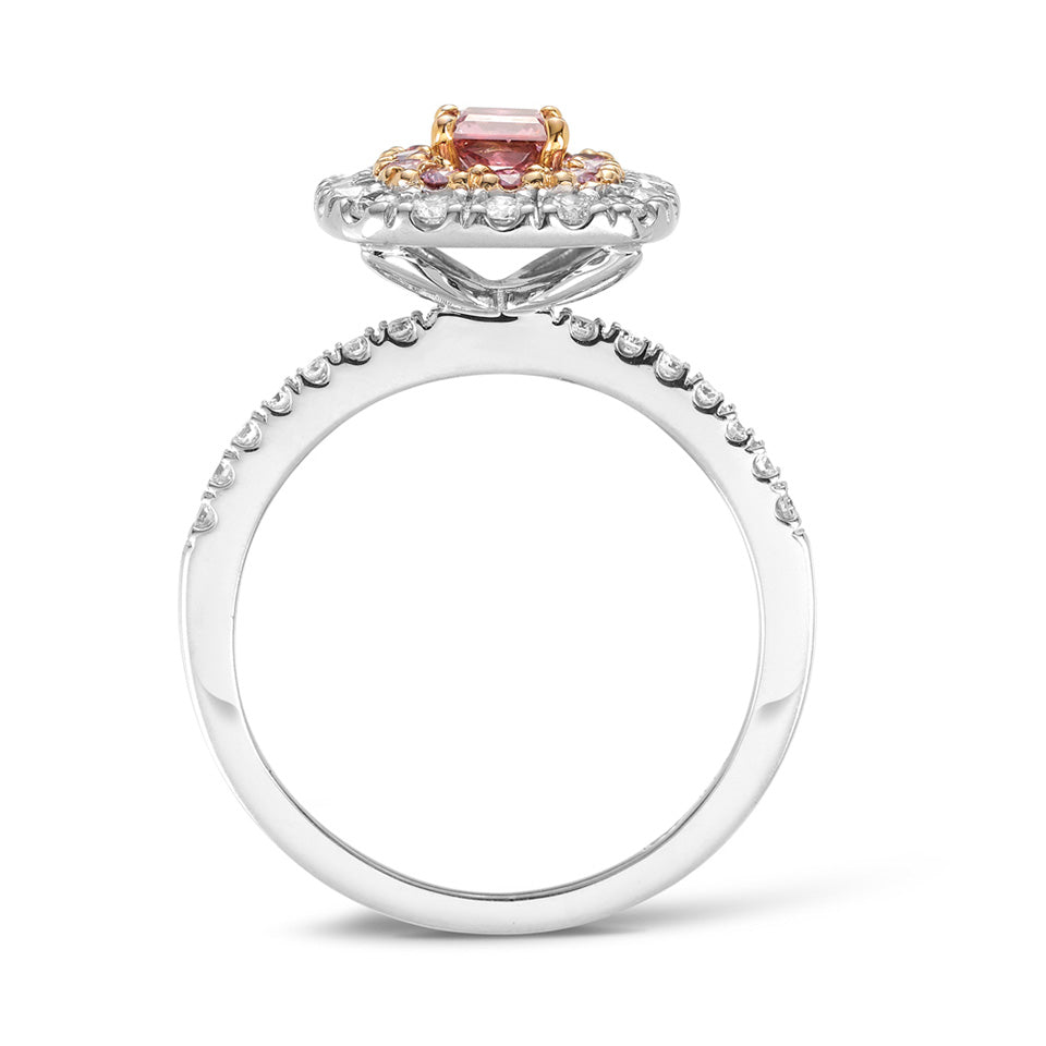 VAULT® Argyle Pink Diamond Ring in 18ct White and Rose Gold