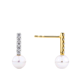 Akoya Pearl and Diamond Stud Earrings in 14ct Yellow Gold