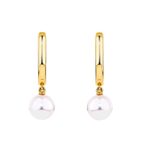 Akoya Pearl Drop Huggie Earrings in 14ct Yellow Gold