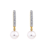 Akoya Pearl and Diamond Drop Huggie Earrings in 14ct Yellow Gold
