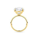 8.08 Carat Round Brilliant Cut Solitaire Engagement Ring in 18ct Yellow Gold