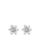 Quintessential 0.50 Carat Diamond Stud Earrings in 18ct White Gold Hardy Brothers Jewellers