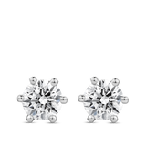 Quintessential 1.40 Carat Diamond Stud Earrings in 18ct White Gold Hardy Brothers Jewellers