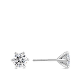 Quintessential 2.00 Carat Diamond Stud Earrings in 18ct White Gold Hardy Brothers Jewellers