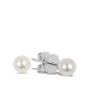 Akoya Pearl Stud Earrings in 18ct White Gold Hardy Brothers Jewellers