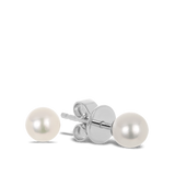 Akoya Pearl Stud Earrings in 18ct White Gold Hardy Brothers Jewellers