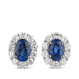 Oval Sapphire and Diamond Earrings in 18ct White Gold Hardy Brothers 