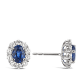 Oval Sapphire and Diamond Earrings in 18ct White Gold Hardy Brothers 