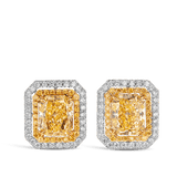 Vault 3.60 Carat Fancy Intense Yellow Diamond Earrings in 18ct White Gold Hardy Brothers 