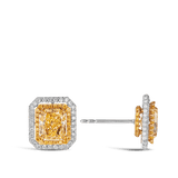 Vault 3.60 Carat Fancy Intense Yellow Diamond Earrings in 18ct White Gold Hardy Brothers 