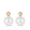 Diamond and Akoya Pearl Stud Earrings in 18ct Yellow Gold Hardy Brothers Jewellers