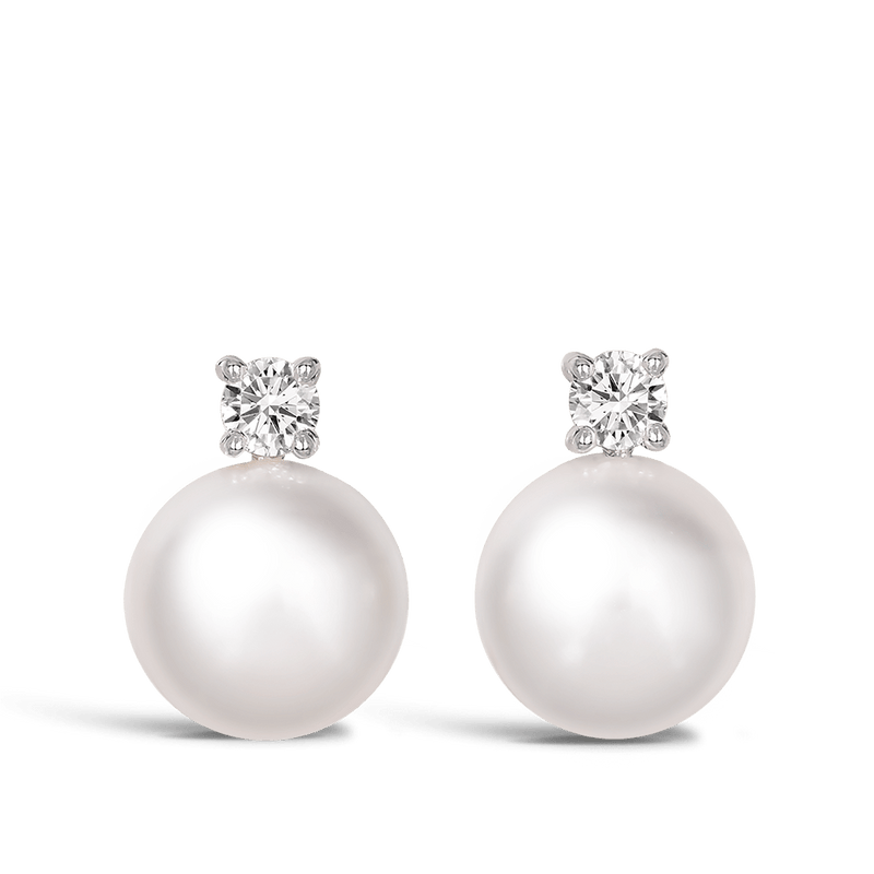 Gingiberi Seawater pearls akoya pearls earring studs 18k gold earrings gift  for women