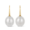 Australian South Sea Pearl Drop Earrings in 18ct Yellow Gold Hardy Brothers Jewellers